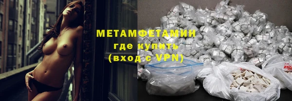 гидра Липки