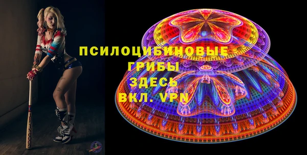 твердый Ладушкин