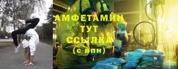 крисы Магас