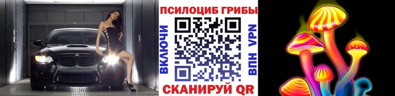 Галлюциногенные грибы Psilocybe  Сланцы 