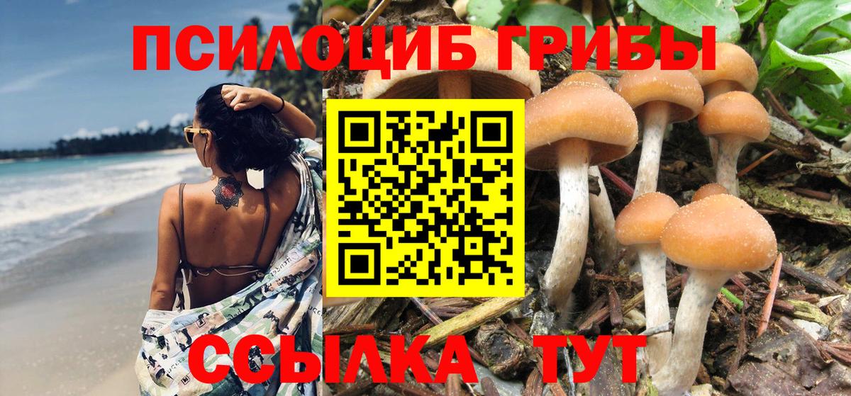 Галлюциногенные грибы GOLDEN TEACHER Сланцы